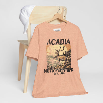 Acadia National Park Retro Tee | Vintage Maine Outdoor Shirt