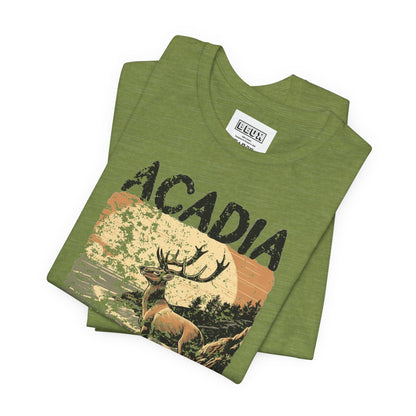 Acadia National Park Retro Tee | Vintage Maine Outdoor Shirt