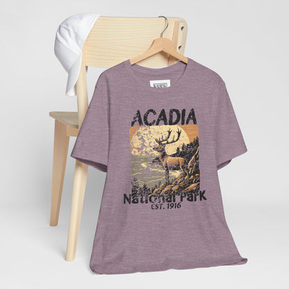 Acadia National Park Retro Tee | Vintage Maine Outdoor Shirt