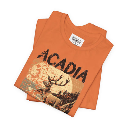 Acadia National Park Retro Tee | Vintage Maine Outdoor Shirt