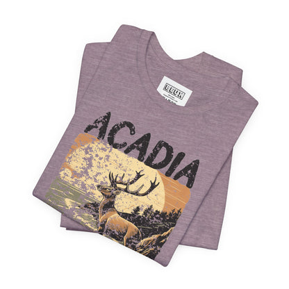 Acadia National Park Retro Tee | Vintage Maine Outdoor Shirt